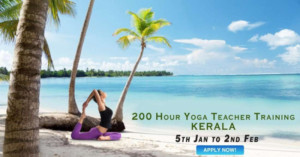 Yoga and Ayurveda Teacher Training Course in Kerala in January  Image