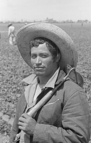 Napa Valley Museum Opens Three Fall Exhibitions Image