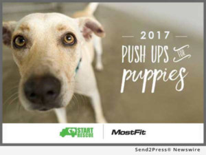 MostFit to Hold 2017 'Pushups for Puppies' Fitness Fundraiser for Southern California Animal Rescue Organization Image