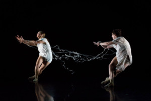 25 Choreographers to Take Part in Dance Gallery Festival's 11th Year in NYC Image