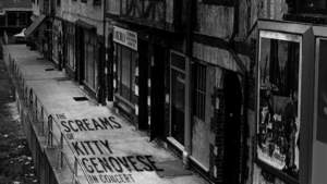 Sheri Sanders to Lead THE SCREAMS OF KITTY GENOVESE at Feinstein's/54 Below Image