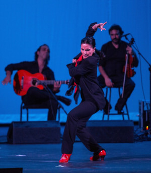 Maria Bermudez Brings 'Sonidos Gitanos' Back to Los Angeles Next Month Image