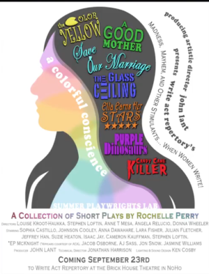 Festival Series Continues with A COLORFUL CONSCIENCE Image