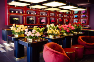 World Luxury Florist Only Roses Launches in Beverly Hills Image