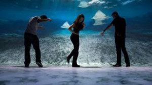 National Geographic Encounter: Ocean Odyssey Opens 10/6 in NYC Image