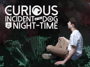 'CURIOUS INCIDENT, Starring Autistic Actor, Opens This Month at Syracuse Stage Image
