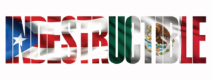 David Zayas, Taylor Schilling, Rosal Colon and muMs to Perform at Cherry Lane's INDESTRUCTIBLE Benefit for Puerto Rico & Mexico Image