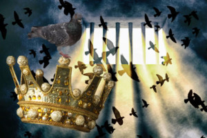 THE PIGEON KING Comes to the Blyth Festival Image