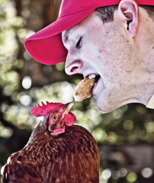 YEAR OF THE ROOSTER Opens at CoHo Season 22, 10/27 Image