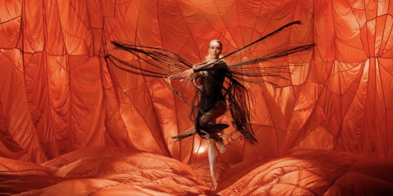 Bangarra Dance Theatre Will Embark on 2025 National Tour With ILLUME  Image