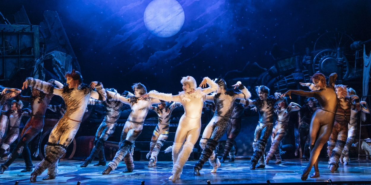 CATS Comes To South Bend Through December 5th Video