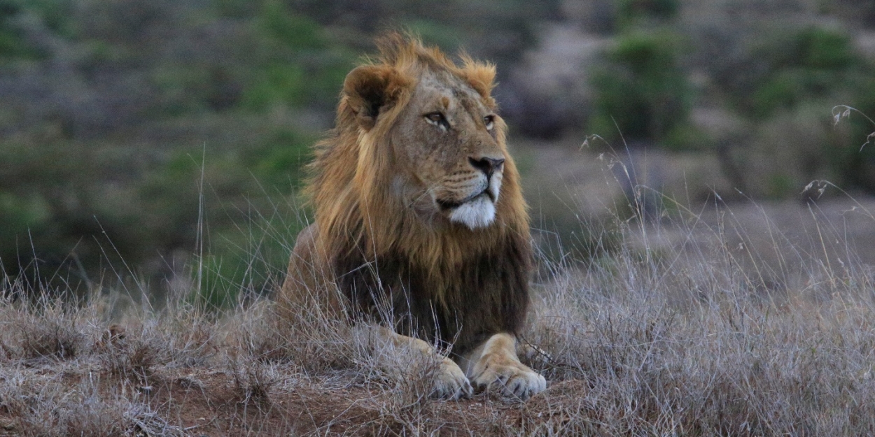 Natural History Series CHASING THE RAINS Premieres on BBC America and AMC+ on Earth Day  Image