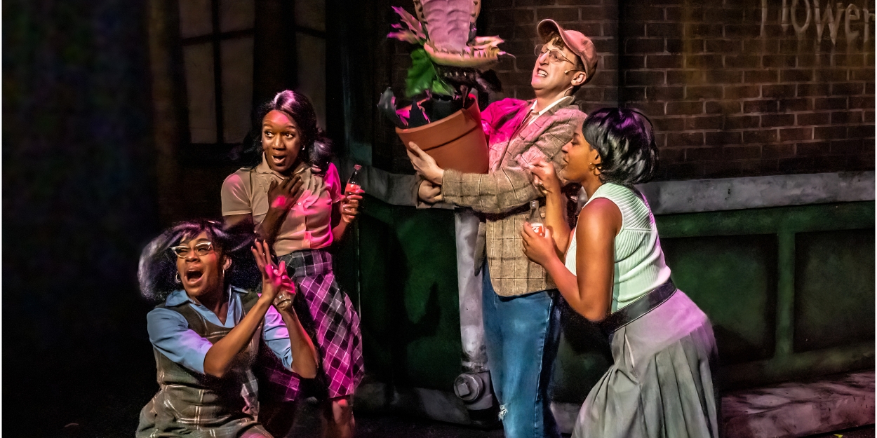 Review: LITTLE SHOP OF HORRORS at The Citadel Theatre, Lake Forest 