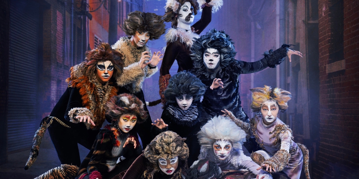 Review: Children's Theatre of Richmond presents CATS: Young Actors Edition 