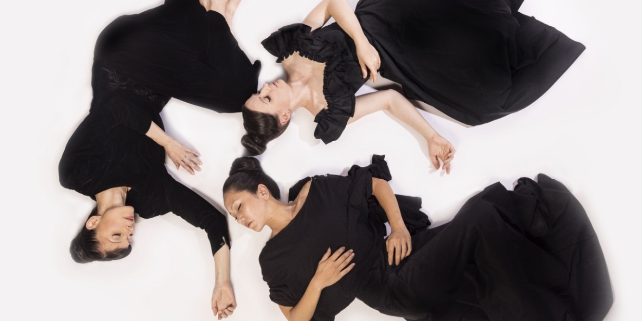 Vangeline Theater/New York Butoh Institute Announces Free Public Showings in February 