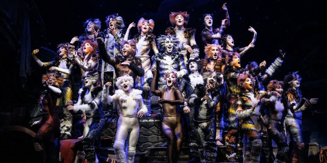 Cats' brings iconic musical to Fox Cities Performing Arts Center