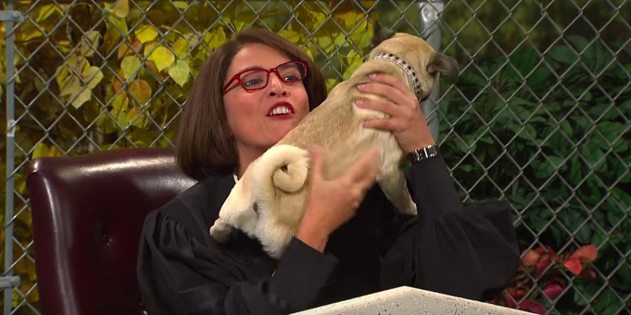 VIDEO: Watch Cecily Strong Preside Over a Dog Court on SNL Video