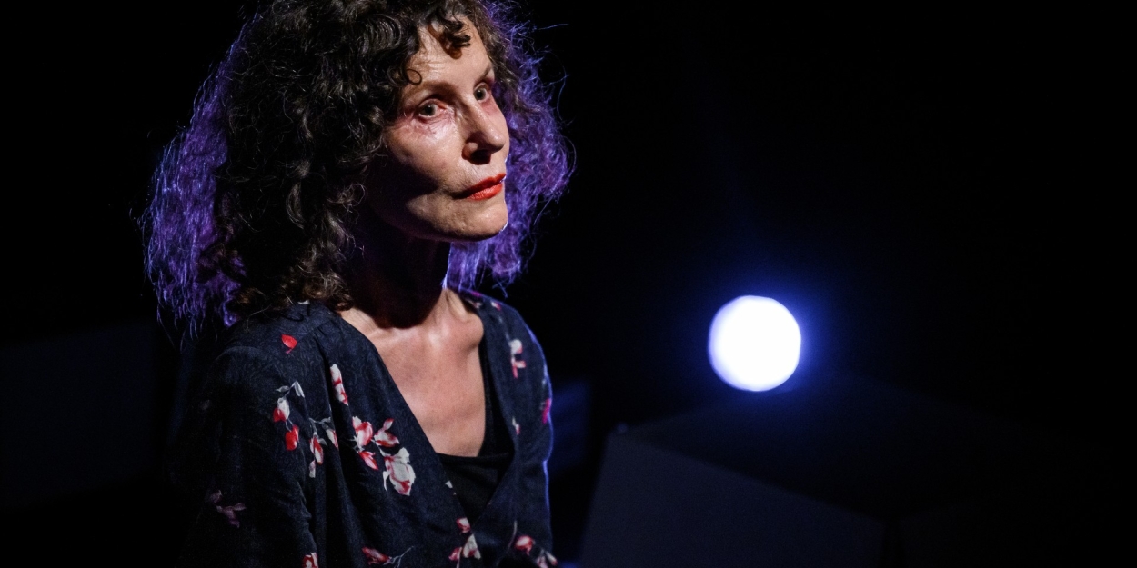 Prices Reduced For PUSSYCAT IN MEMORY OF DARKNESS at the Finborough Theatre - Vimarsana News