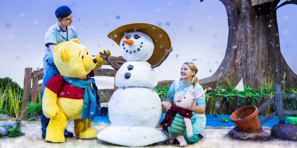 DISNEY'S WINNIE THE POOH THE NEW