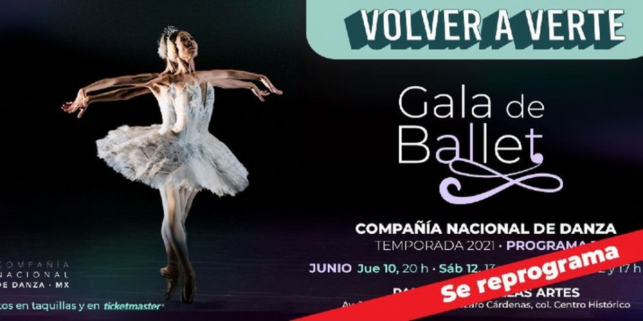 La Compañía Nacional De Danza Reprograma La Gala De Ballet En El ...