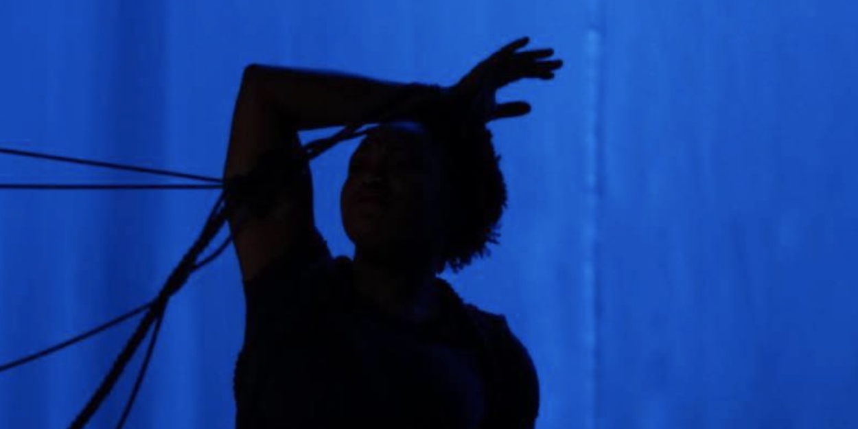 Pratt Institute's Performance Programs to Present 2022 MFA Thesis Festival - Vimarsana News