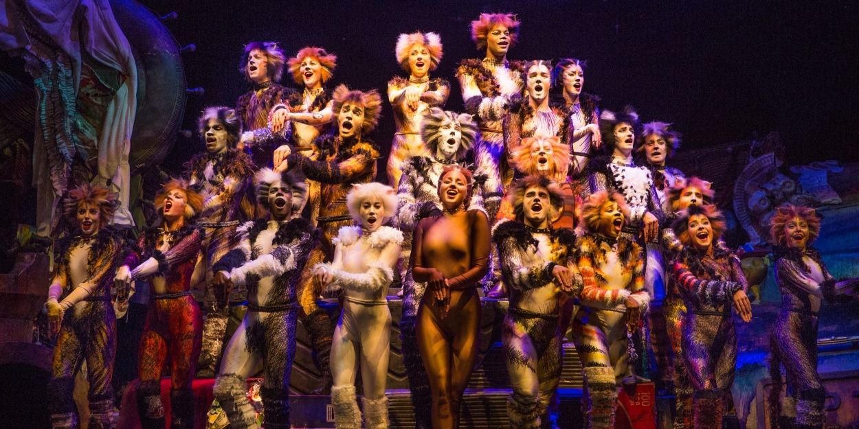 Review Broadway Across Canada's Touring Production of CATS Proves Its