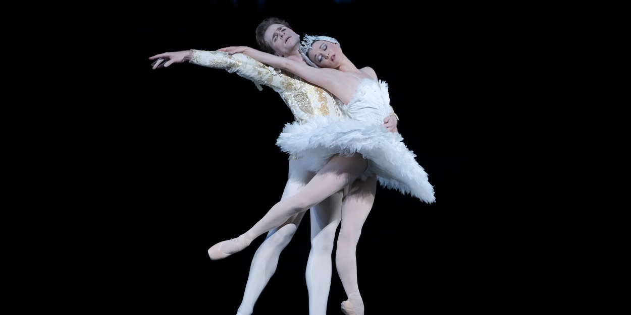 Review: SWAN LAKE Soars in New National Ballet of Canada Production 
