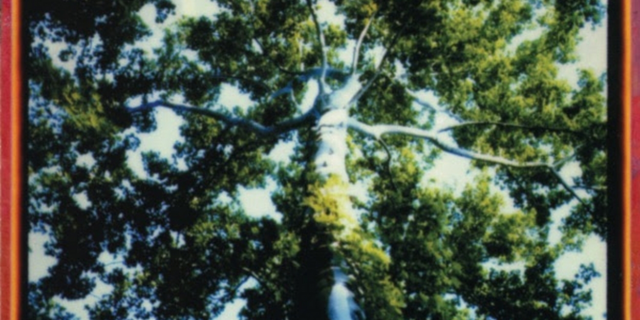 Elephant 6 Collective Label Returns With Reissue Of Debut Album From The Gerbils