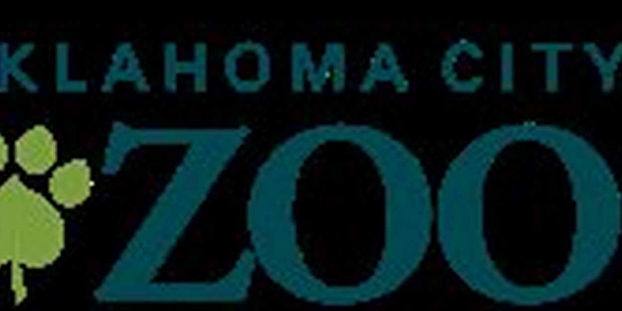 OKC Zoo Goes Virtual, Announces Ways To Engage With Wildlife During Temporary Closure