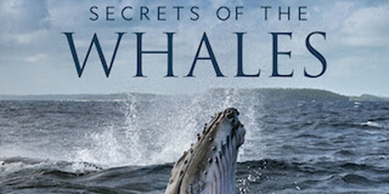 Music From SECRETS OF THE WHALES Available Today