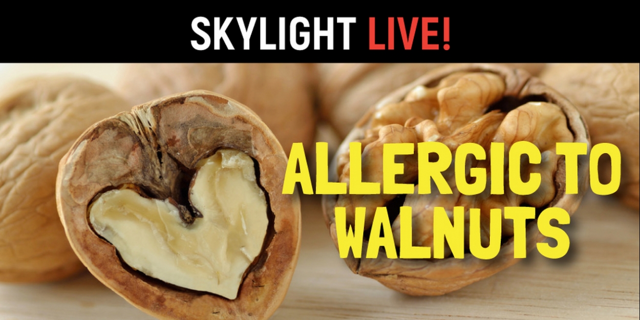 Review ALLERGIC TO WALNUTS at Skylight Theatre
