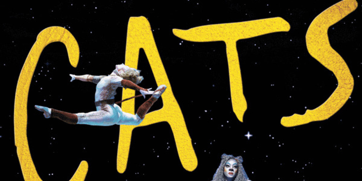Spotlight: Let the Memory Live Again with CATS at Beef & Boards Photo