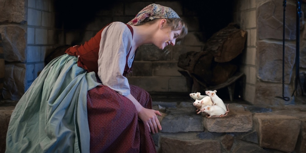 RODGERS + HAMMERSTEIN'S CINDERELLA To Open At Four ... - Broadway World