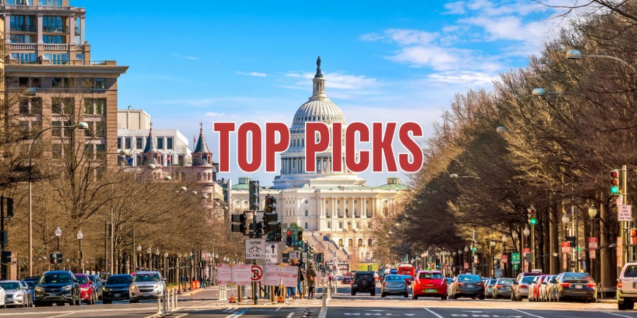 NO PLACE TO GO, SHEAR MADNESS & More Lead Washington DC's October Top 10