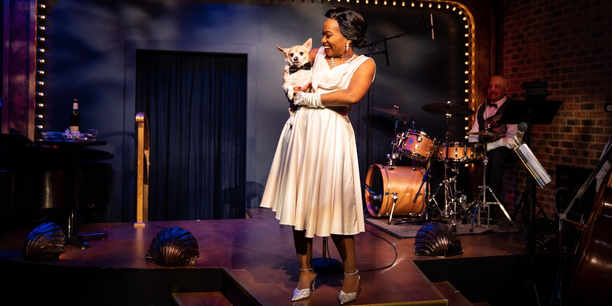 Review: LADY DAY AT EMERSON'S BAR AND GRILL at Mercury Theater Chicago 