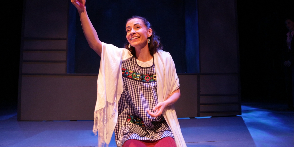 Review: BARBS APLENTY IN SATIRE THE PLAY THAT YOU WANT at Road Theatre - Vimarsana News