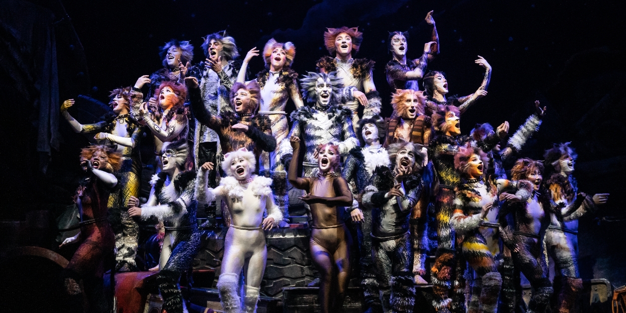 Review: CATS is the Latest Musical to Prowl Onto the Vancouver Stage