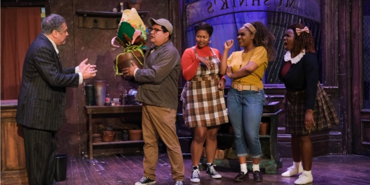 Review: LITTLE SHOP OF HORRORS at San Diego Musical Theatre  Image