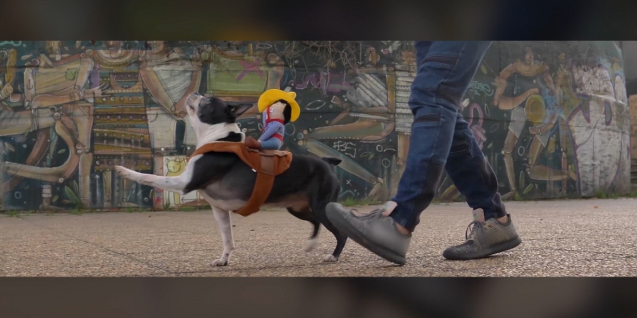 Crafty Cats, Muddy Mutts, and Crazy are Up Next on WORLD'S