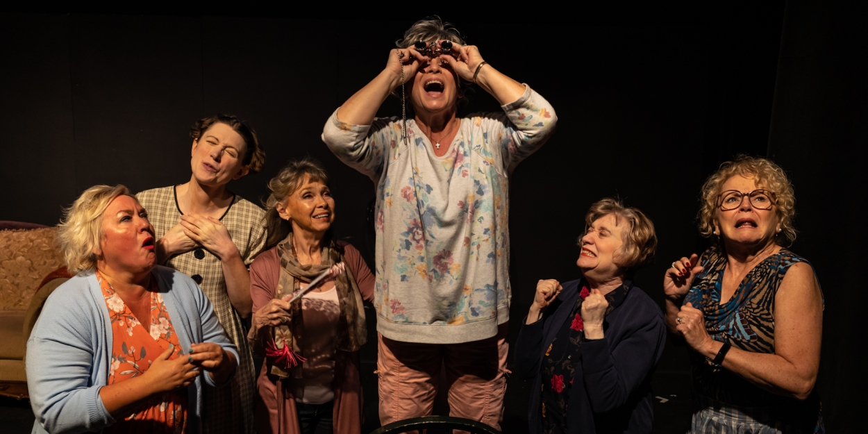 Photos: First look at Aethereal Jest Arts Council's Community Theatre Triple Feature - Vol Photo