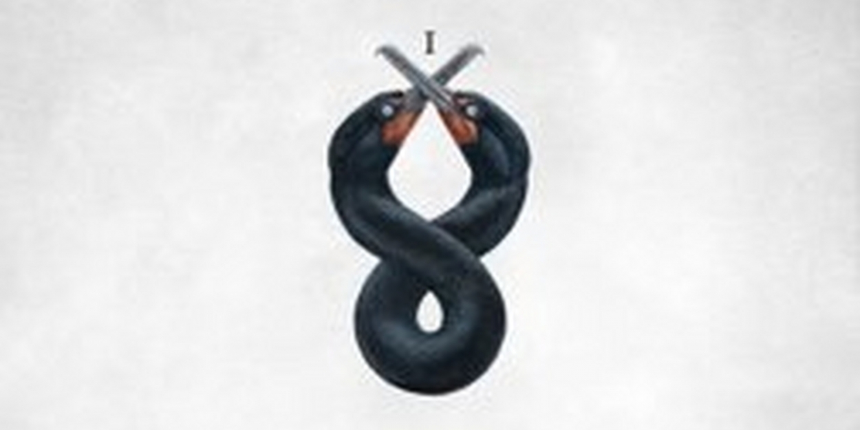 San Fermin Announce New Album THE CORMORANT I Video