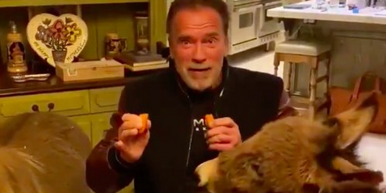 VIDEO: Arnold Schwarzenegger Posts Coronavirus Message With His Ponies Video