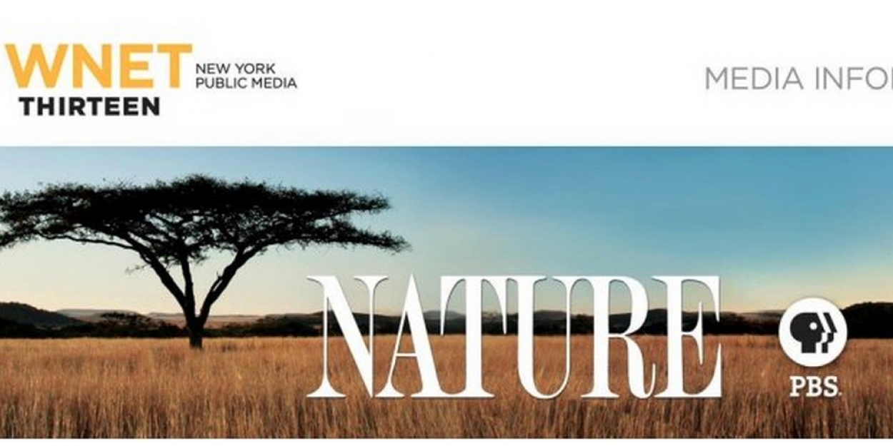 NATURE on PBS Announces 39th Season