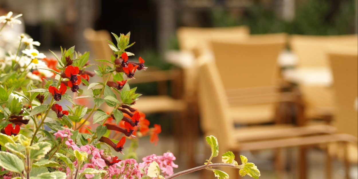 Take MOM to Dinner-Check Out Some Great Choices - Vimarsana News