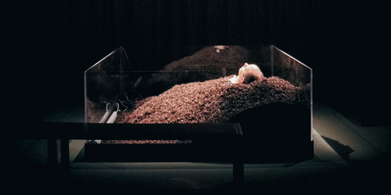 Photos: Nervous Theatre Presents Beckett's TEXTS FOR NOTHING - Vimarsana News
