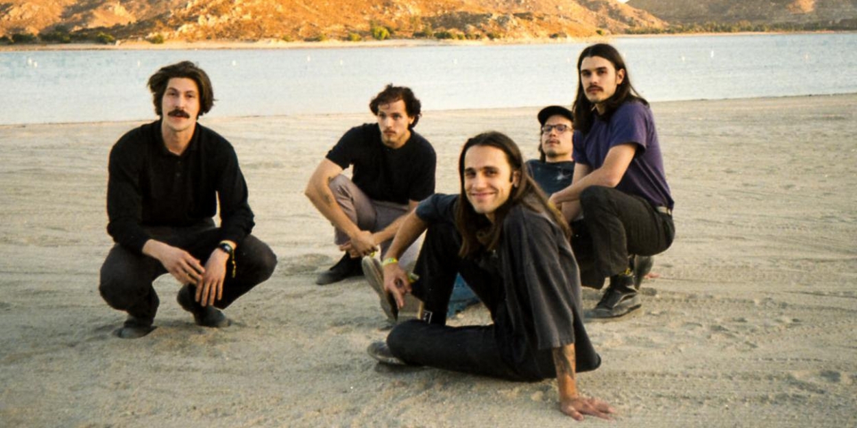 Post Animal Share Single 'Safe or Not' Video