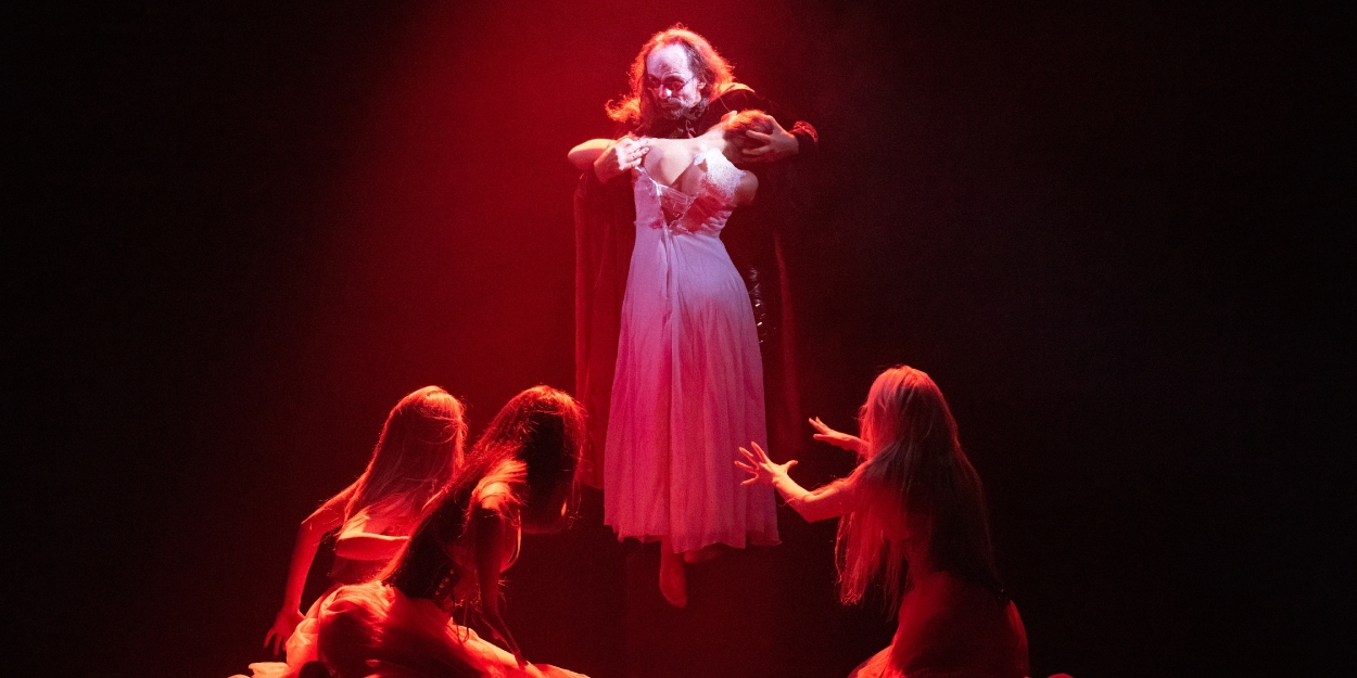 Review: DRACULA at Synetic Theatre  Image