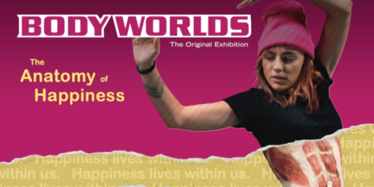 BODY WORLDS: The Anatomy Of Happiness Will Make its North American Debut in July 