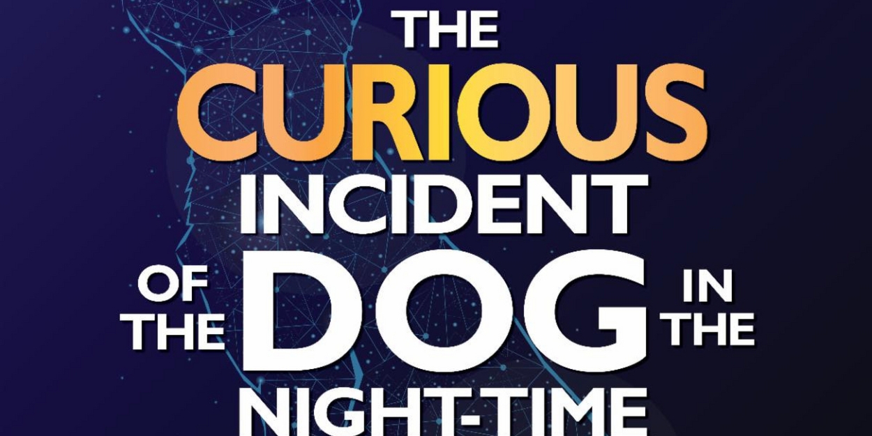 Stage @ The Warner Presents THE CURIOUS INCIDENT OF THE DOG IN THE NIGHT-TIME - Vimarsana News