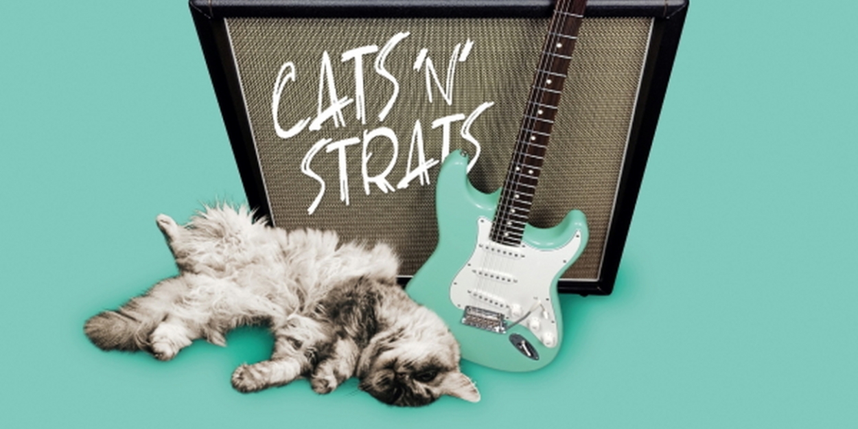 FS3 Trio Featuring Austrian Guitarist Joe Doblhofer Releases Debut Album 'Cats 'n' Strats' - Vimarsana News